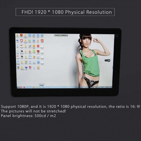 10in FHD 1080P Monitor 1920x1080 IPS Screen w Case
